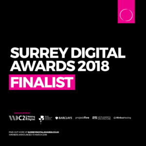 Surrey Digital Awards - best Small Business Website